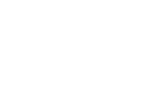 Taritas DIGI logo